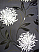 Antoinette by Fine Decor