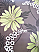 Tahiti lime wallpaper