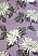 Tara Moda black label wallpaper