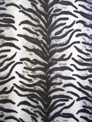 Tiger Print