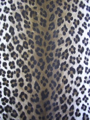 Leopard Print
