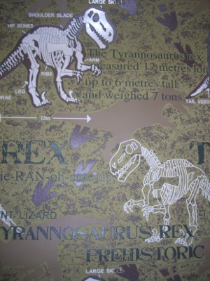 Dinosaurs Tyrannosaurus Rex 