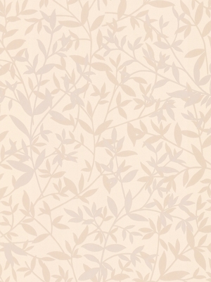 Bijou