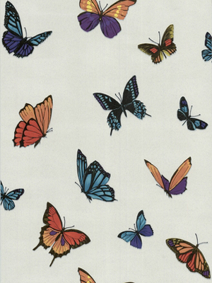 FlutterBy