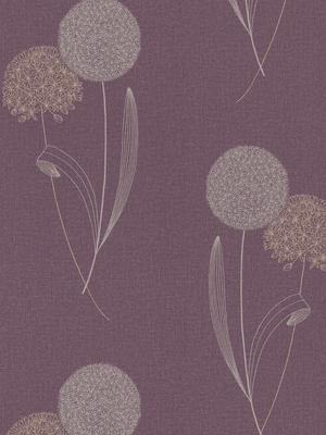 Alium