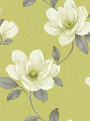 Magnolia