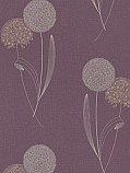 Alium