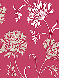 Agapanthus
