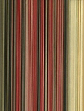 Sophia Stripe