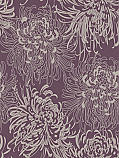 Chrysanthemum
