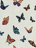 FlutterBy