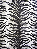 Tiger Print
