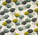 Dandelion Clocks