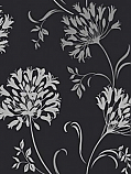 Agapanthus