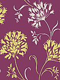 Agapanthus 