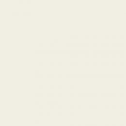 Leyland Trade Fancy White Paint