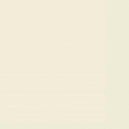 Leyland Trade Antique White Paint