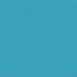 Leyland Trade Angelfish Paint