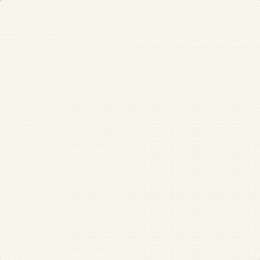 Leyland Trade Commericial White Paint