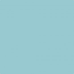 Leyland Trade Kingston Aqua Paint