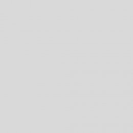 Laura Ashley Pale Silver Matt Paint