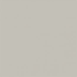 Sanderson Grey Squirrel Paint