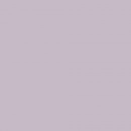 Leyland Trade Coral Mist Paint