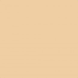 Flat image of Craig & Rose Beauvais Cream paint with a soft cream finish