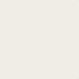 Flat image of Craig & Rose Craftsman's White paint in a clean white finish
