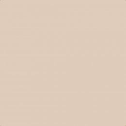 Flat image of Craig & Rose Dried Plaster paint with a soft matt finis