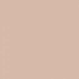 Flat image of Craig & Rose Fresh Plaster paint with a warm natural finish