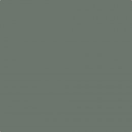 Flat image of Craig & Rose Pullman Green paint with a deep charcoal-green finish