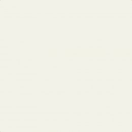 Flat image of Craig & Rose Whiting paint with a soft luminous white finish