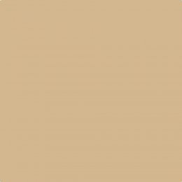 Johnstone's Trade Transcend Paint