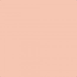 Leyland Trade Begonia Paint