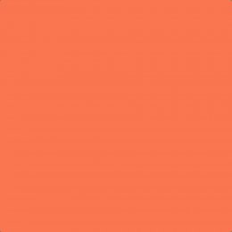 Leyland Trade Fiesta Paint