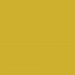 Leyland Trade Gorse Paint