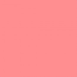 Leyland Trade Salmon Pink Paint