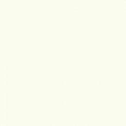 Leyland Trade Snow Goose Paint