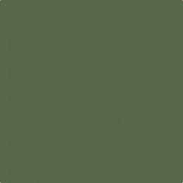 Leyland Trade River Green Paint