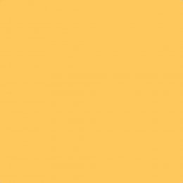 Leyland Trade Sundrenched Paint