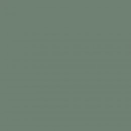 Forest Road paint swatch in deep olive with teal undertone