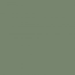 Outstretch paint swatch in bold mid-tonal green