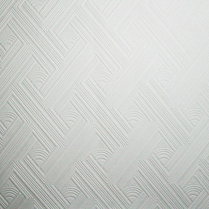 Geometric Blown Vinyl by Superfresco 268 Allen Braithwaite