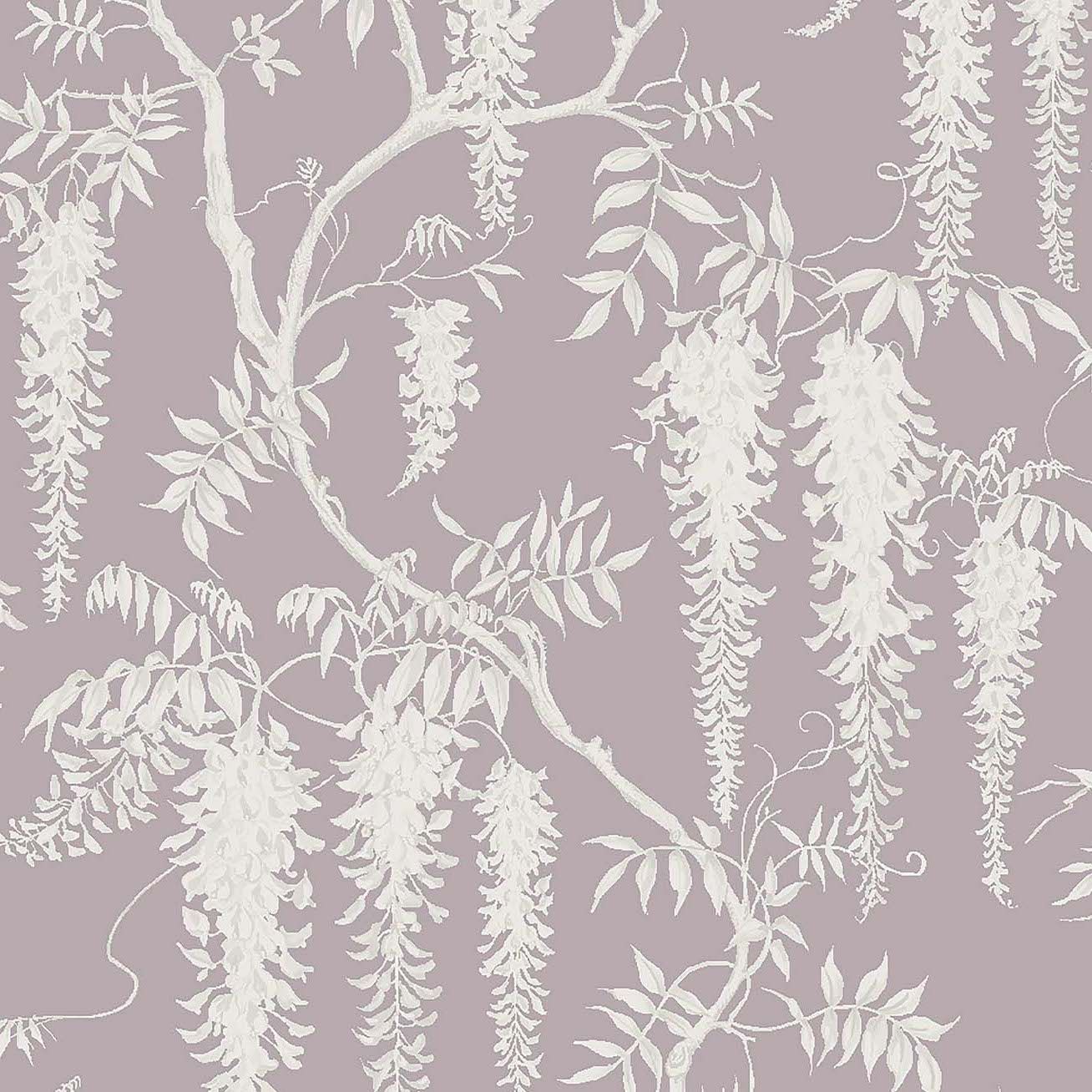 Mauve Wallpapers on WallpaperDog