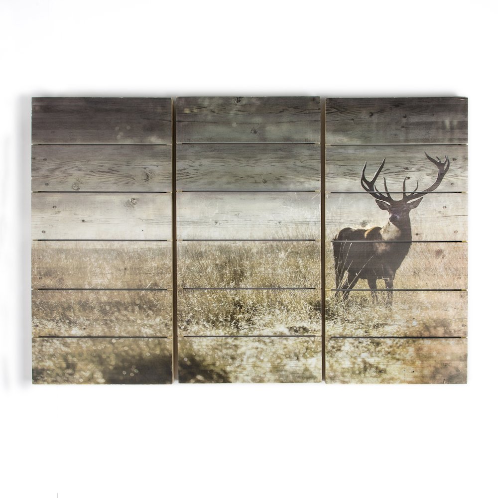 Highland Stag Wooden Wall Art