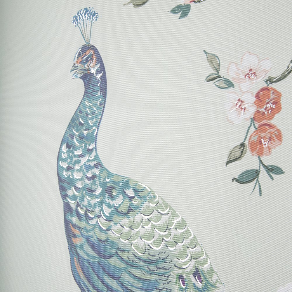 Pretty Peacock Canvas