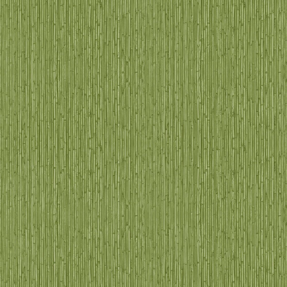 Galerie Bamboo Green Wallpaper 18575