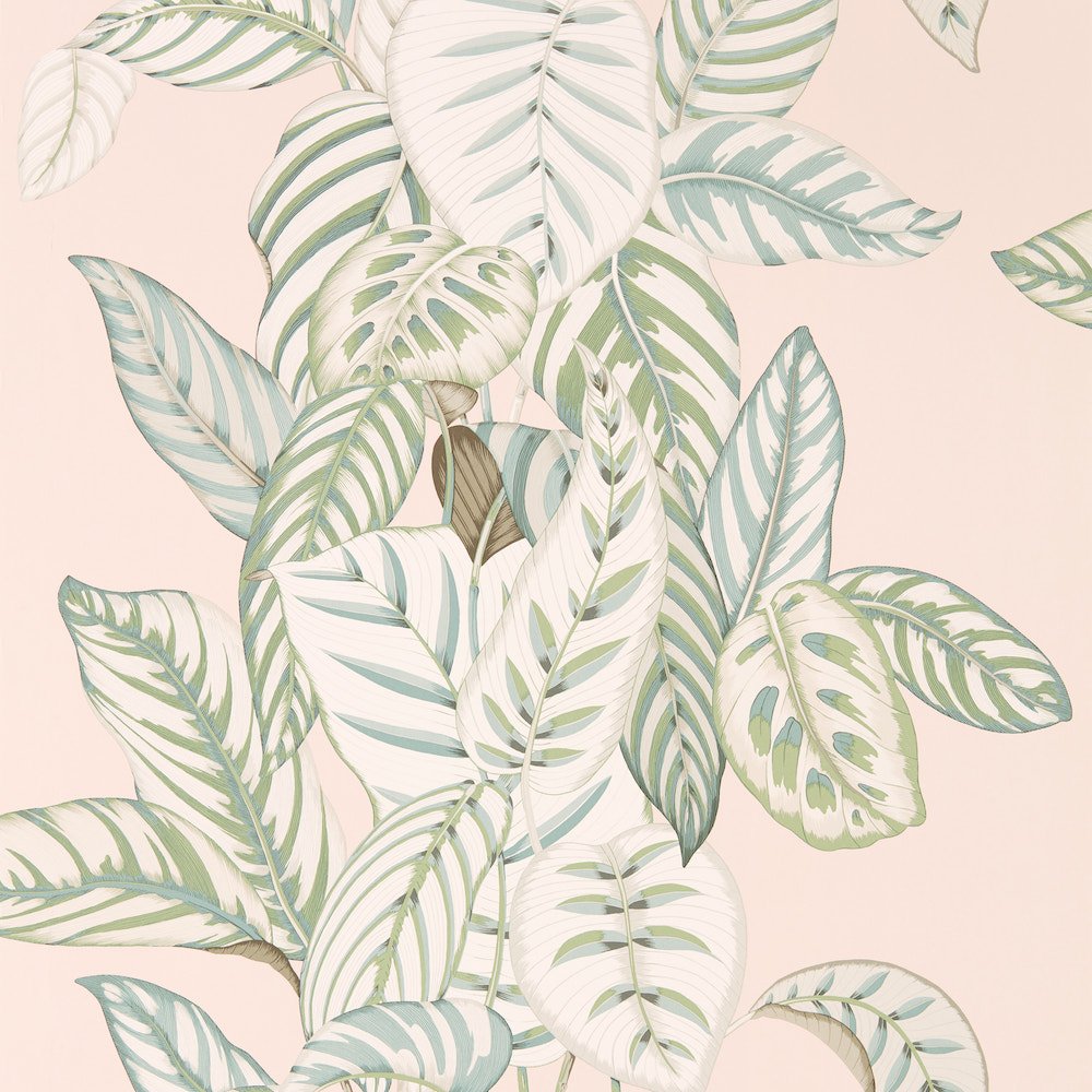 Sanderson Calathea Orchid/Eucalyptus Wallpaper 216632