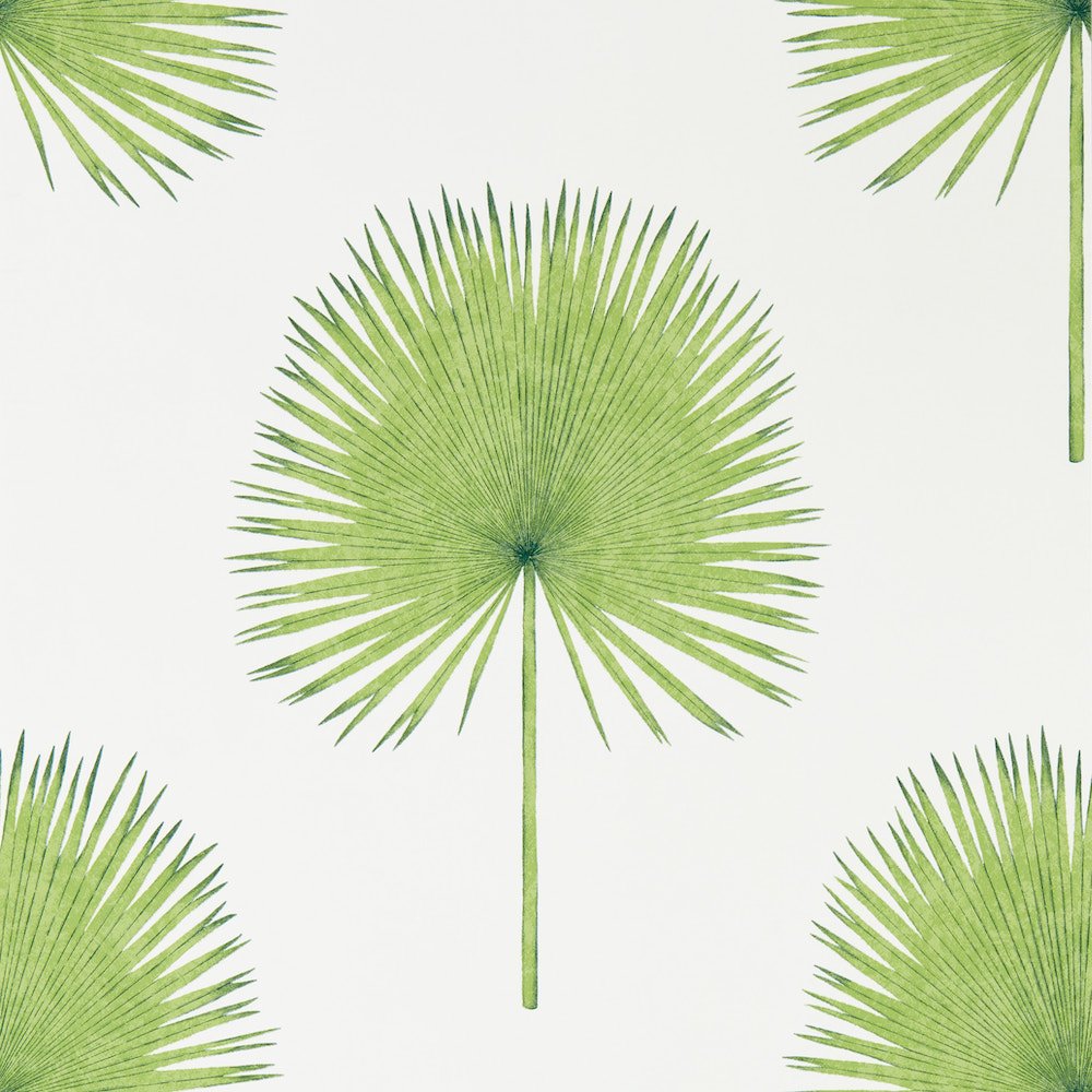 Sanderson Fan Palm Botanical Green Wallpaper 216636